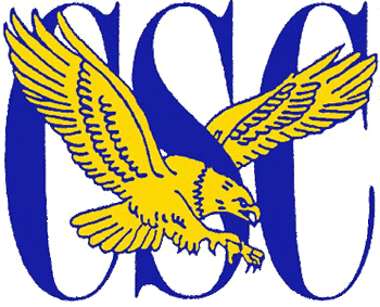 Coppin State Eagles 1988-2003 Primary Logo iron on paper